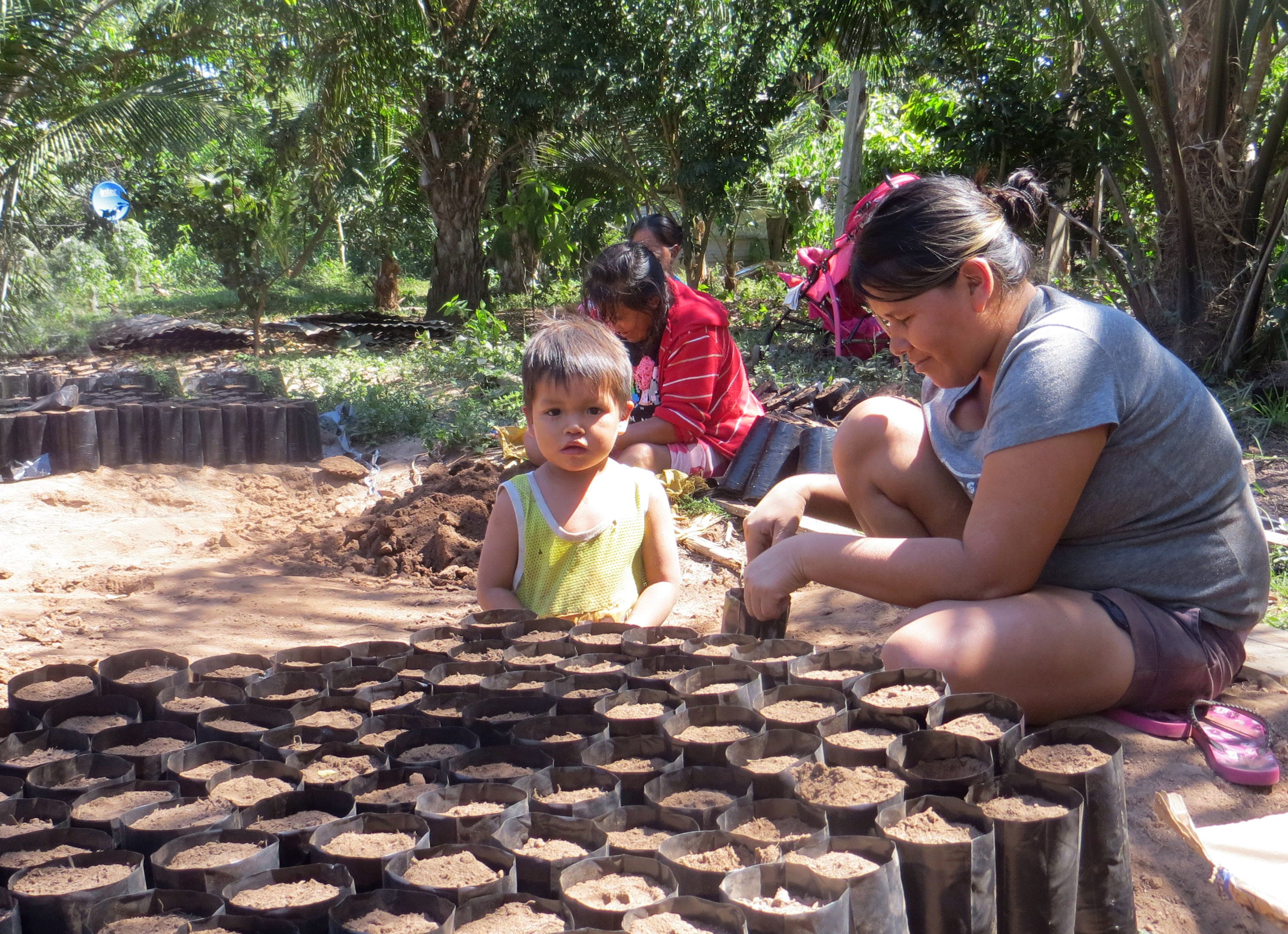 Jornada de trabajo en vivero de Portachuelo Alto_DEM Jornada de trabajo en vivero de Portachuelo Alto_DEM